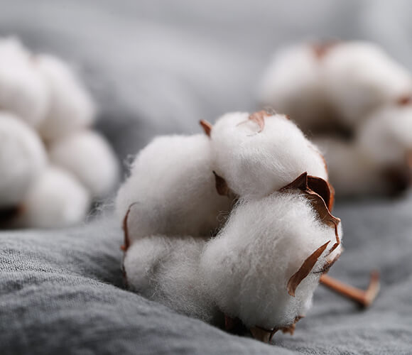彈簧棉：全球首創不用彈性纖維的100% 棉布，平織針織都行！