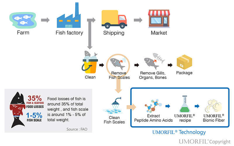 UMORFIL®膠原蛋白布料製程