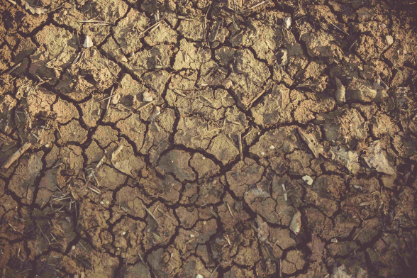 IPCC 儲水、大幅降低耕作用水量和提高抗旱能力