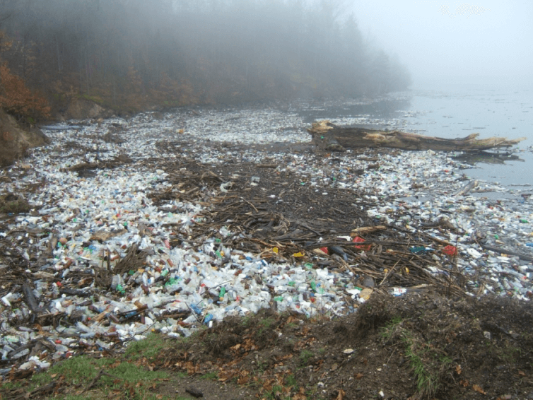 Billions of PET Bottles Are Discarded By Consumers Annually.